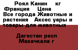  Роял Канин 20 кг Франция! › Цена ­ 3 520 - Все города Животные и растения » Аксесcуары и товары для животных   . Дагестан респ.,Махачкала г.